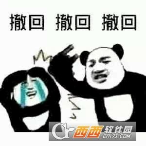 模块插件,防撤回软件,电脑版.